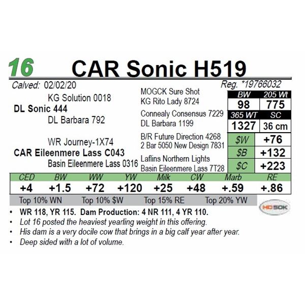 CAR Sonic H519