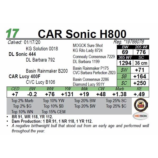 CAR Sonic H800