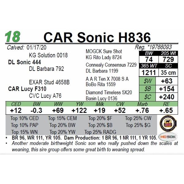 CAR Sonic H836