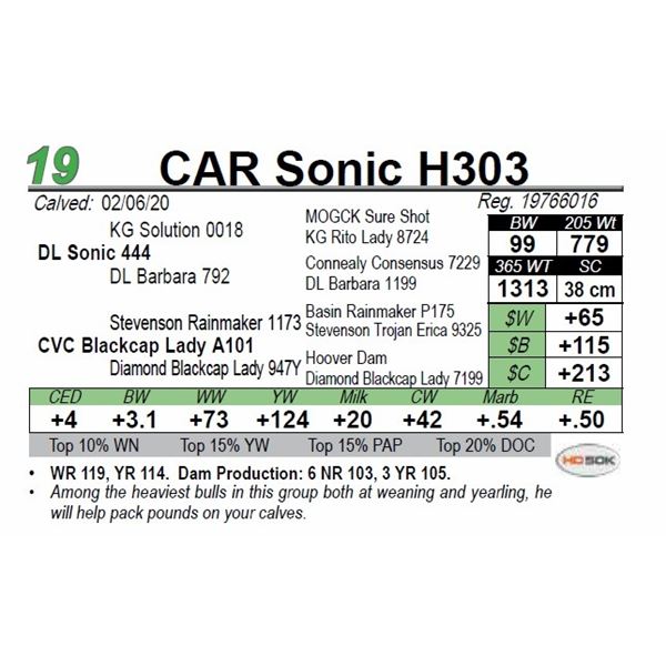 CAR Sonic H303