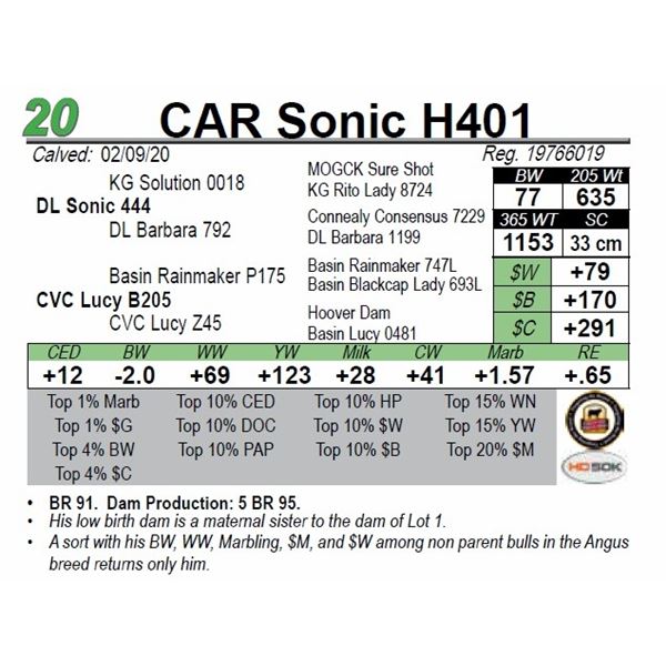 CAR Sonic H401