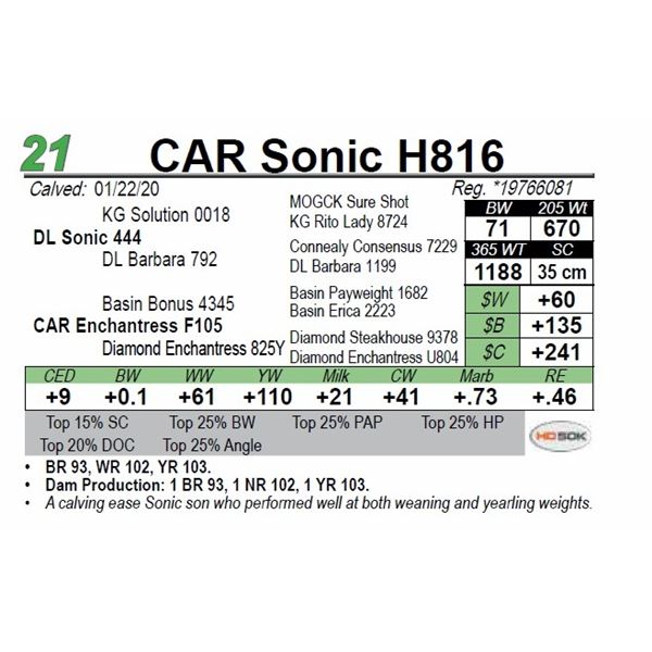 CAR Sonic H816