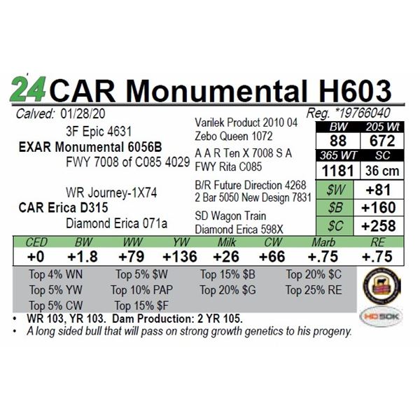 CAR Monumental H603