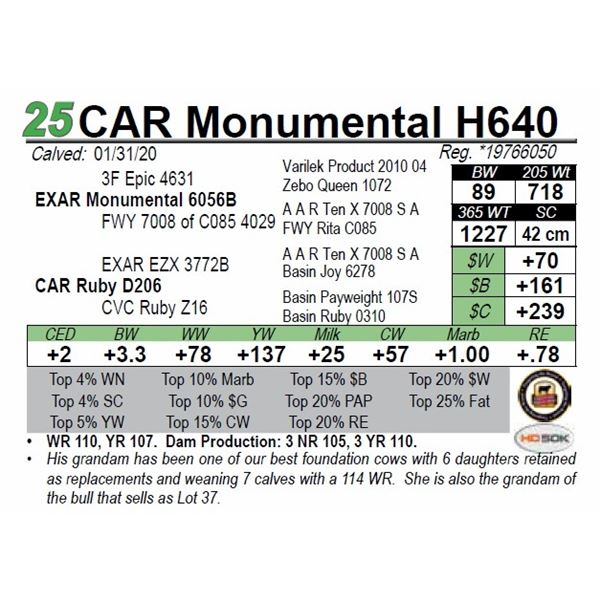 CAR Monumental H640