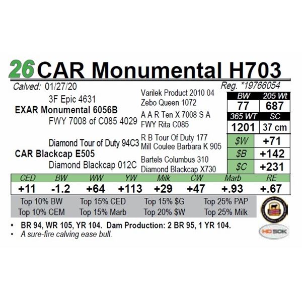 CAR Monumental H703