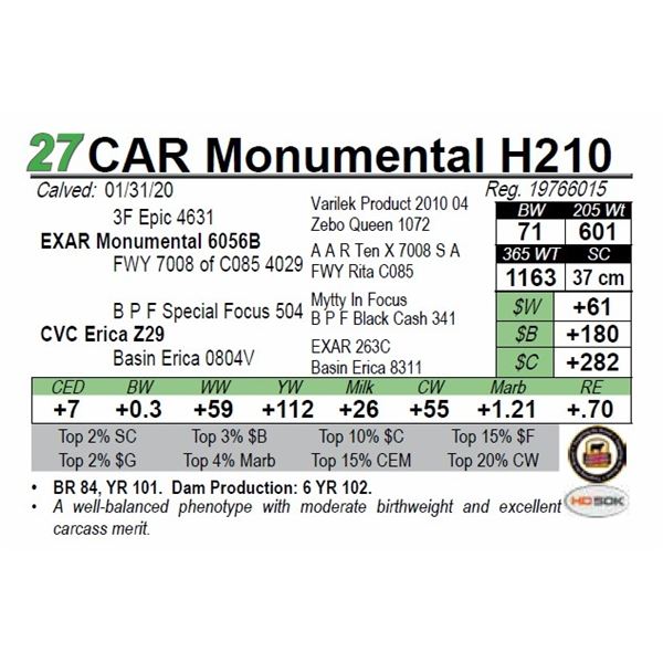 CAR Monumental H210