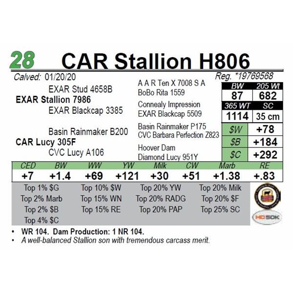 CAR Stallion H806
