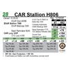Image 1 : CAR Stallion H806