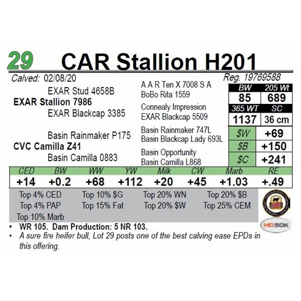 CAR Stallion H201
