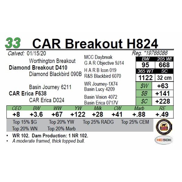 CAR Breakout H824