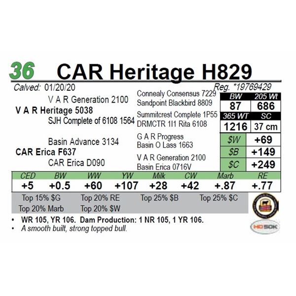 CAR Heritage H829
