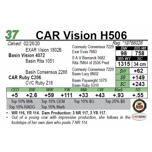CAR Vision H506