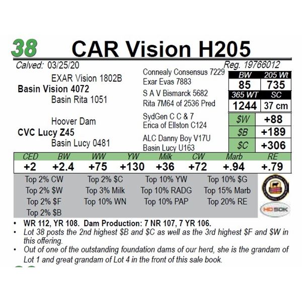 CAR Vision H205