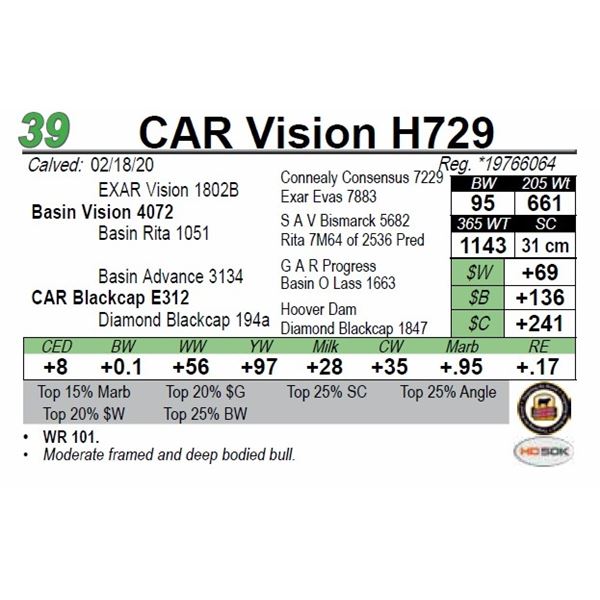 CAR Vision H729