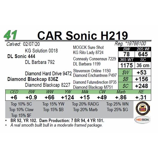 CAR Sonic H219