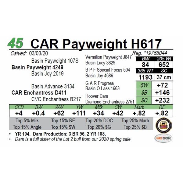 CAR Payweight H617