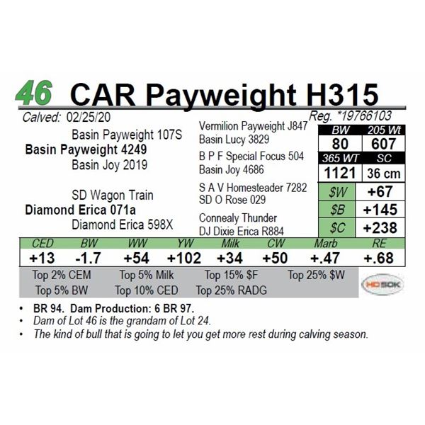CAR Payweight H315