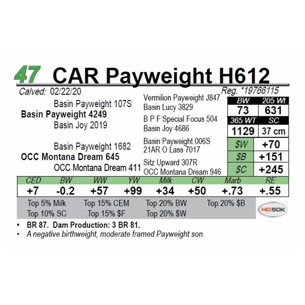 CAR Payweight H612
