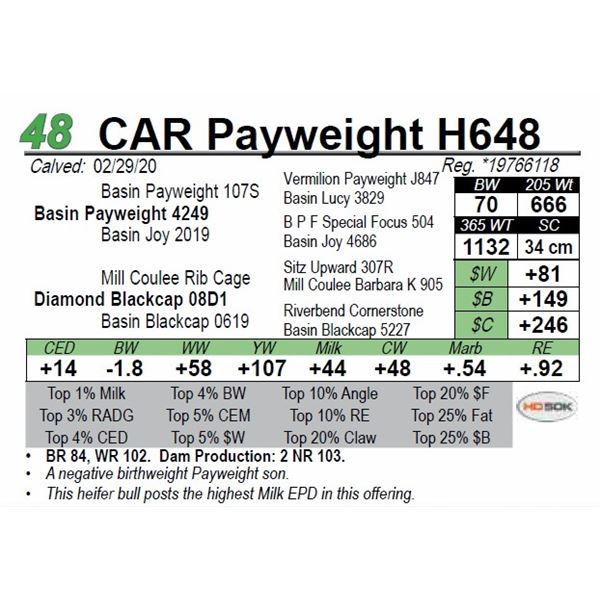 CAR Payweight H648