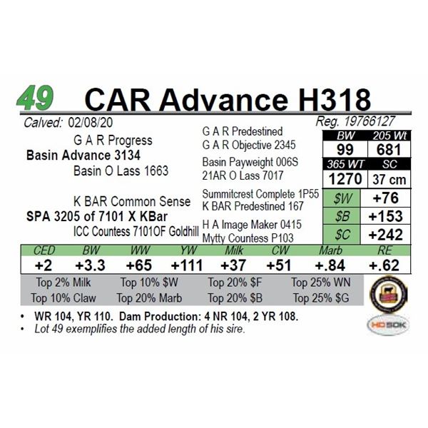 CAR Advance H318