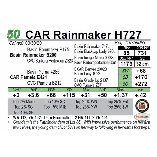 CAR Rainmaker H727