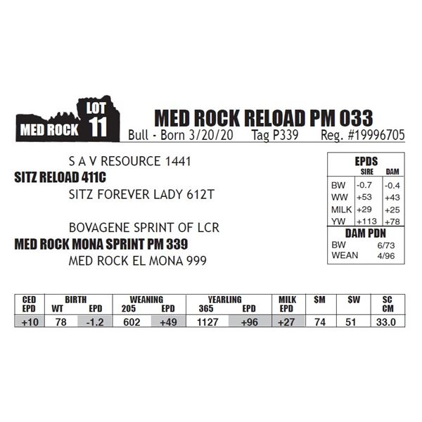 MED ROCK RELOAD PM 033