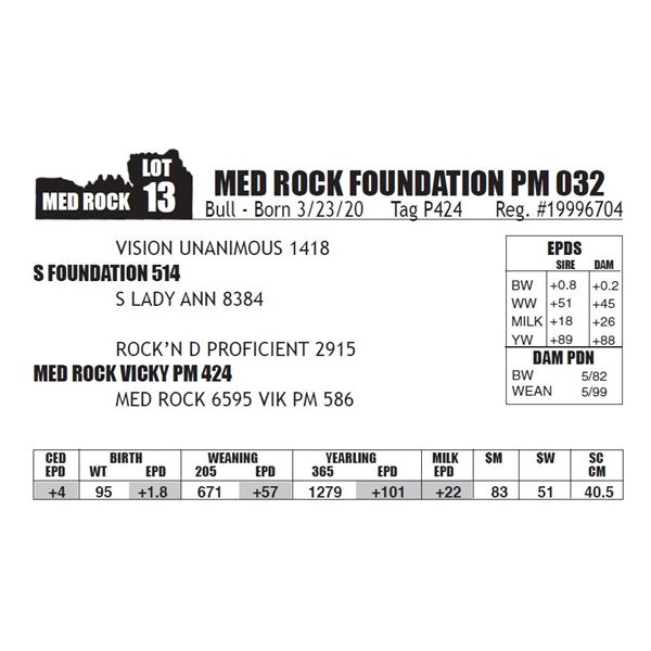 MED ROCK FOUNDATION PM 032