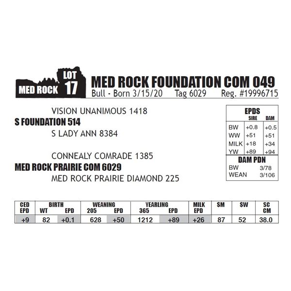 MED ROCK FOUNDATION COM 049