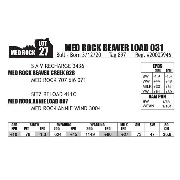 MED ROCK BEAVER LOAD 031