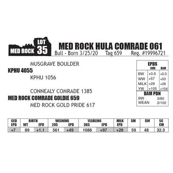 MED ROCK HULA COMRADE 061