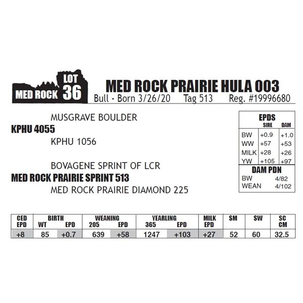 MED ROCK PRAIRIE HULA 003