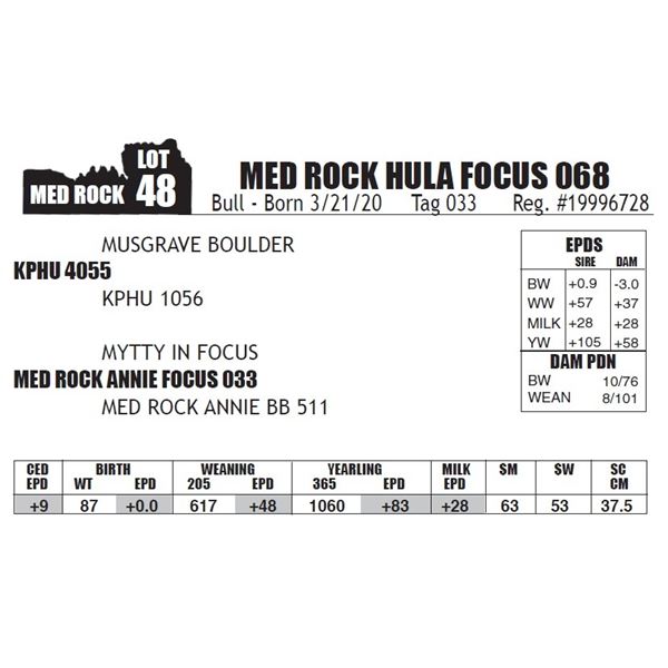 MED ROCK HULA FOCUS 068