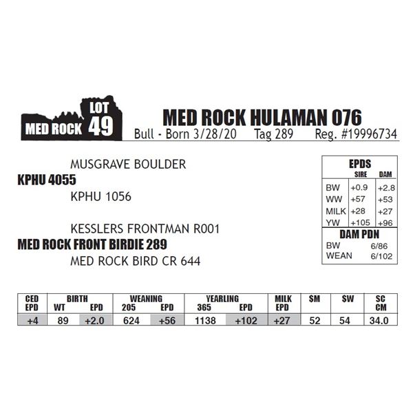 MED ROCK HULAMAN 076