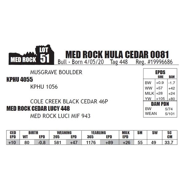 MED ROCK HULA CEDAR 0081