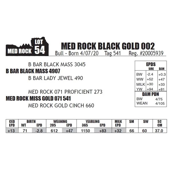 MED ROCK BLACK GOLD 002