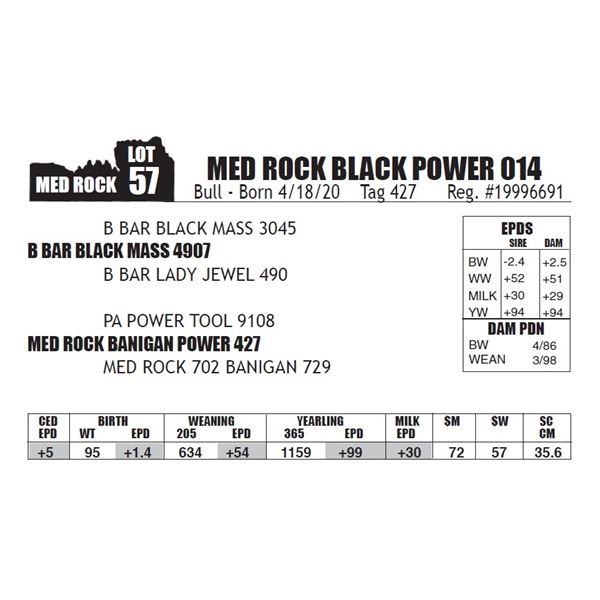 MED ROCK BLACK POWER 014