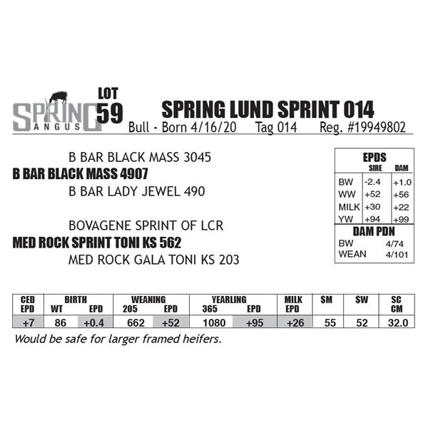 SPRING LUND SPRINT 014