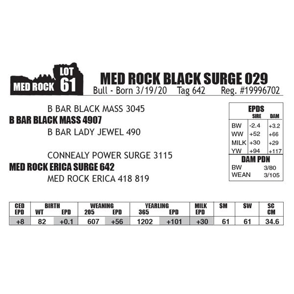 MED ROCK BLACK SURGE 029