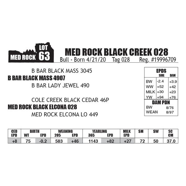 MED ROCK BLACK CREEK 028