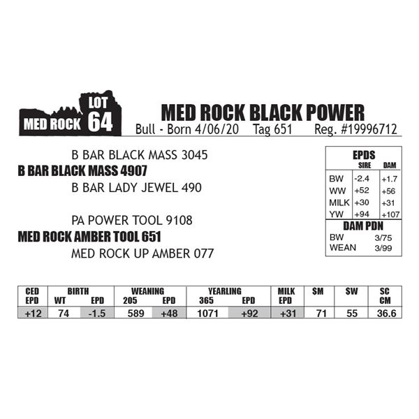 OUT OF SALE - MED ROCK BLACK POWER