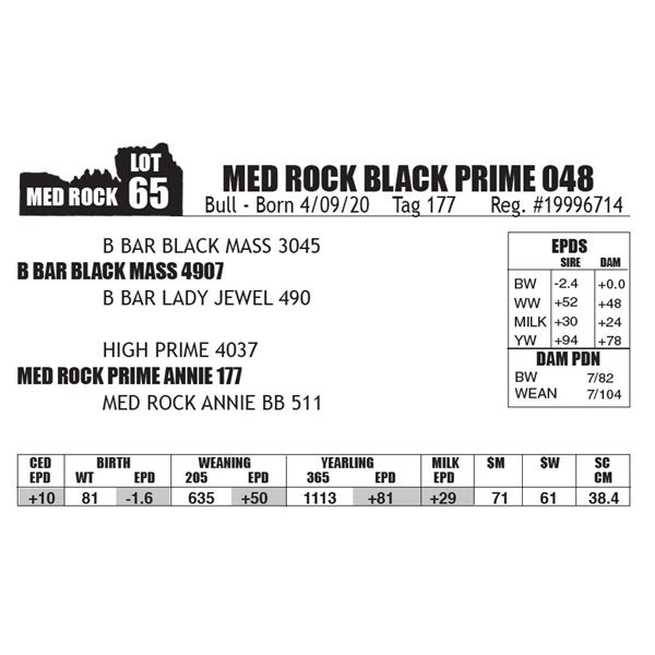 MED ROCK BLACK PRIME 048