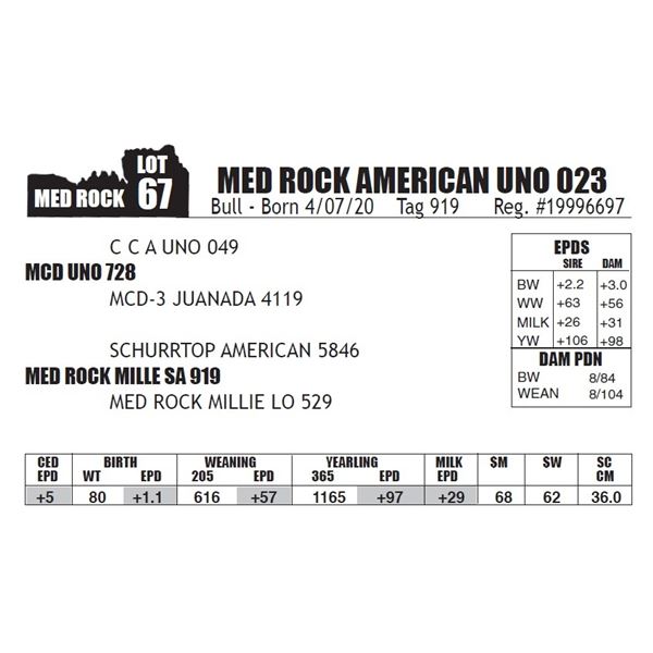 MED ROCK AMERICAN UNO 023