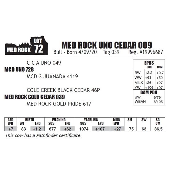 OUT OF SALE - MED ROCK UNO CEDAR 009