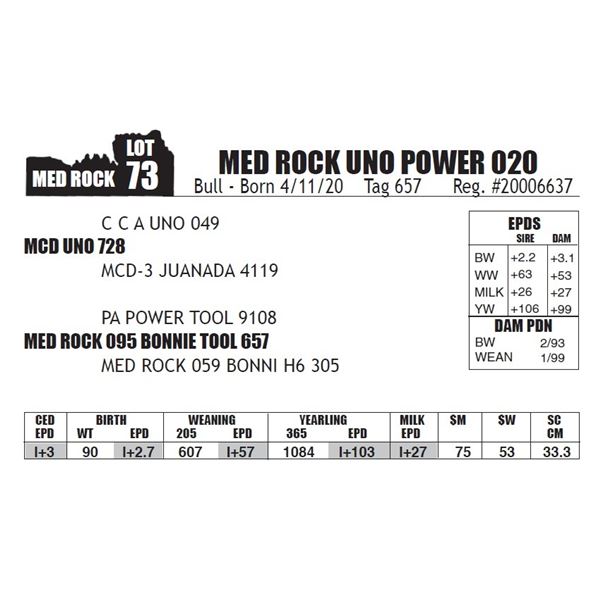 MED ROCK UNO POWER 020