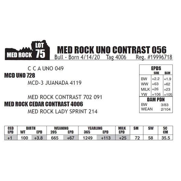 MED ROCK UNO CONTRAST 056