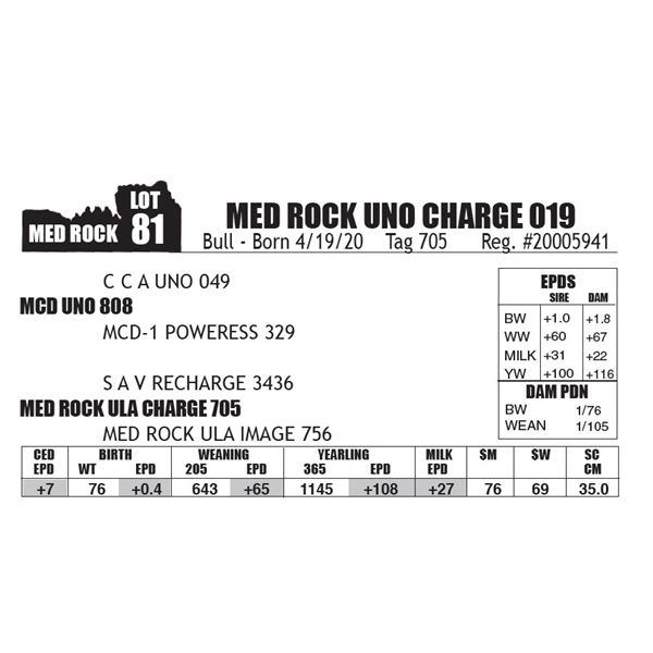 MED ROCK UNO CHARGE 019