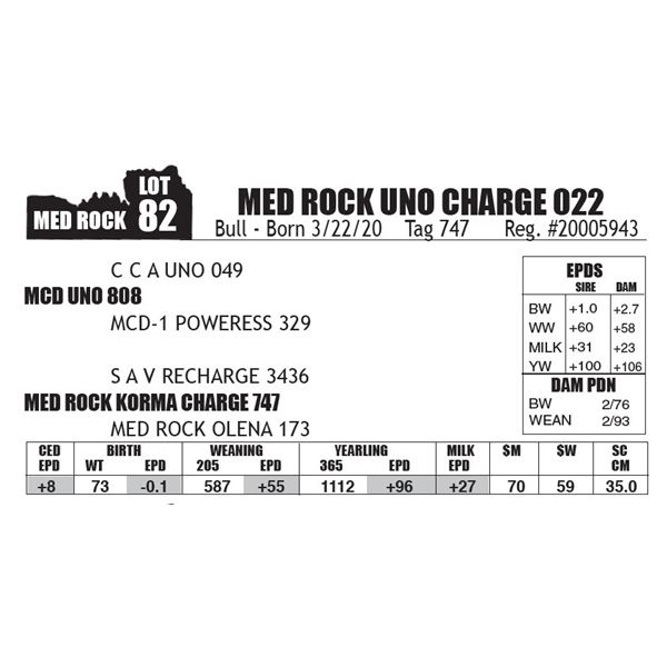 MED ROCK UNO CHARGE 022