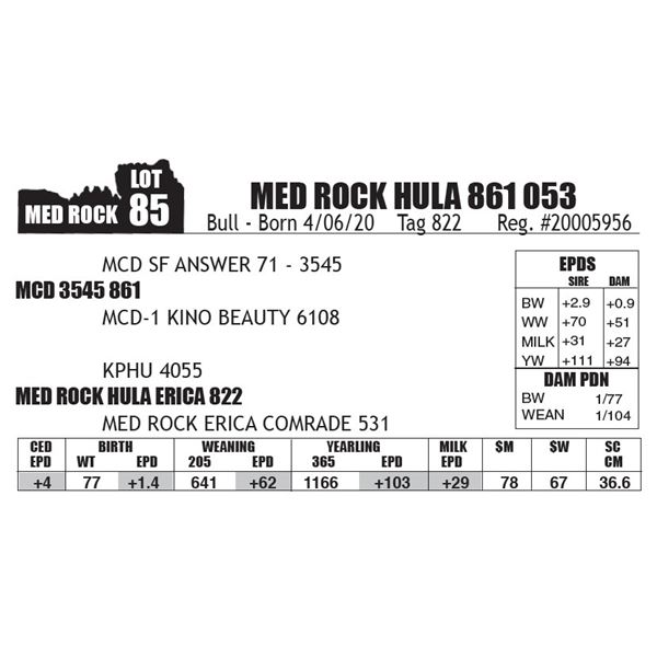 MED ROCK HULA 861 053