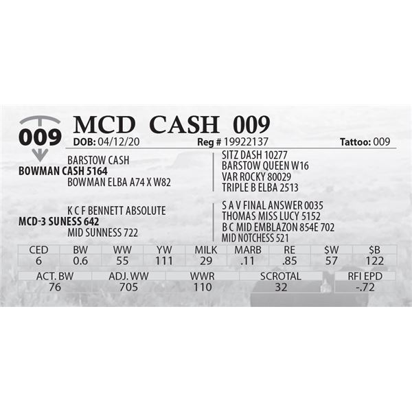 OUT OF SALE - MCD CASH 009