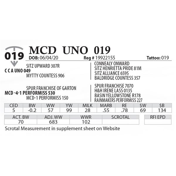 MCD UNO 019
